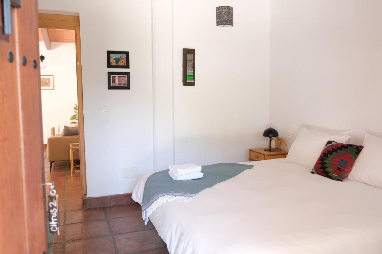 The Wild Olive Andalucia Citrus Suite Casares Zewnętrze zdjęcie