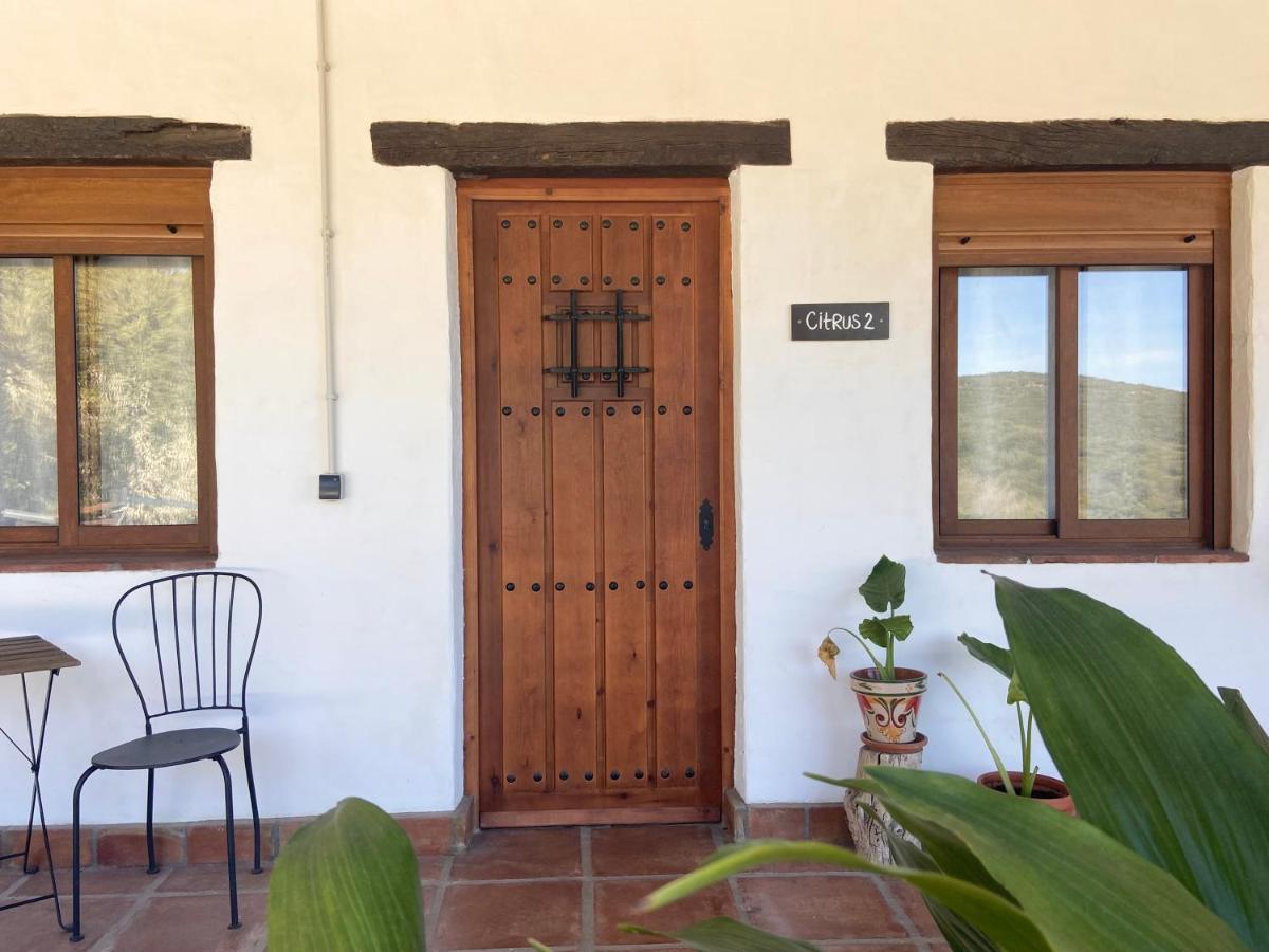 The Wild Olive Andalucia Citrus Suite Casares Zewnętrze zdjęcie